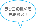 ���b�R�̕@�����������I
