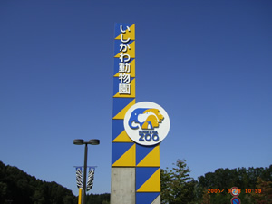�������퓮�����Ŕ�